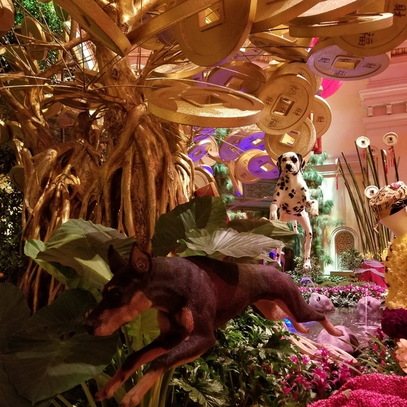 Meet your Posher, Jessie - Picture 4 of 4